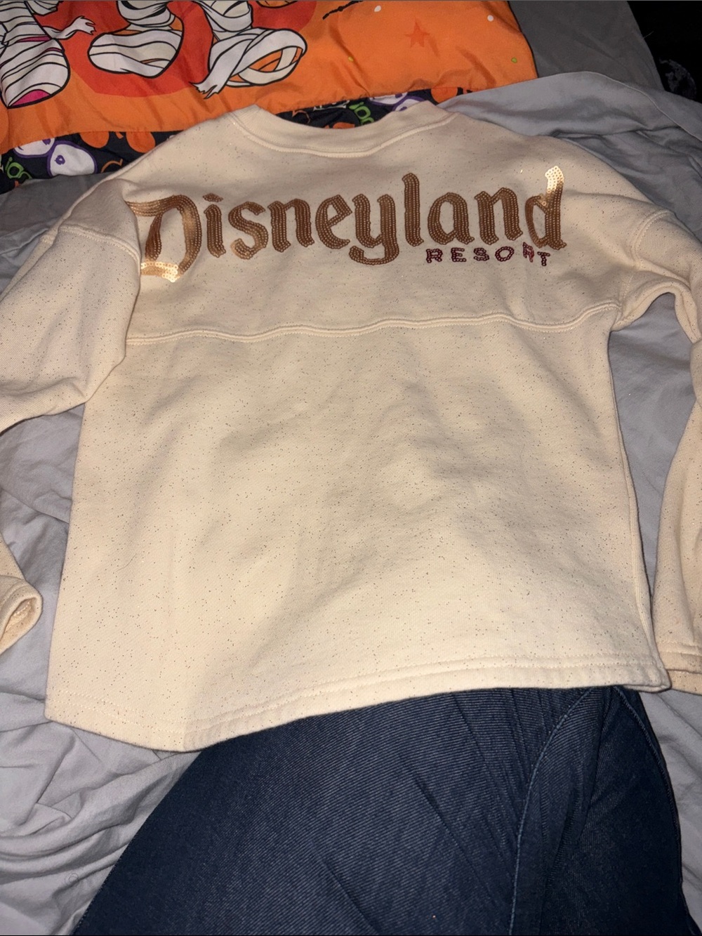 Disney Disneyland Santa Mickey spirit jersey fleece